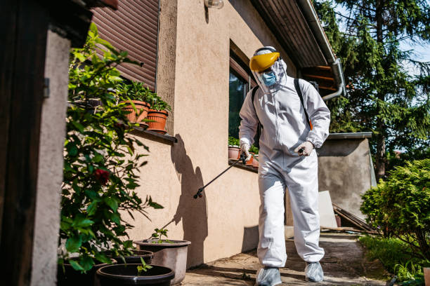 Best Bed Bug Extermination  in Frankfort, OH
