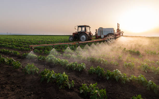 Best Pest Prevention Services  in Frankfort, OH