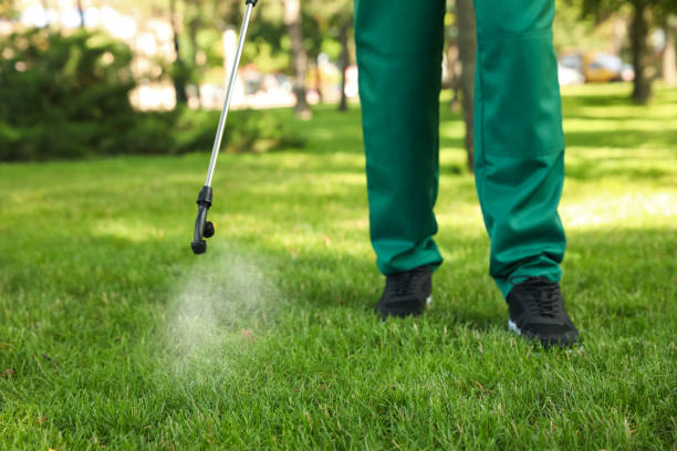 Best Flea Control Services  in Frankfort, OH