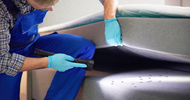 Best Residential Pest Control  in Frankfort, OH