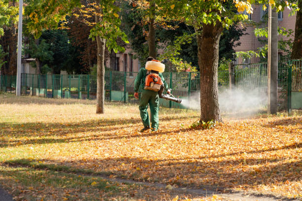 Best Rat Extermination Near Me  in Frankfort, OH