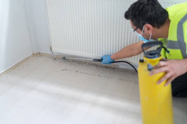 Best Best Pest Control Companies  in Frankfort, OH